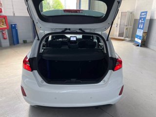 FORD Fiesta 1.1 75 CV 5 porte Connect