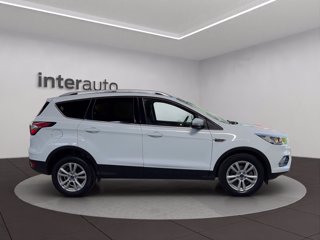 FORD Kuga 1.5 TDCI 120 CV S&S 2WD Powershift Titanium Business