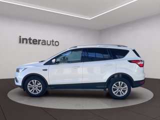 FORD Kuga 1.5 TDCI 120 CV S&S 2WD Powershift Titanium Business