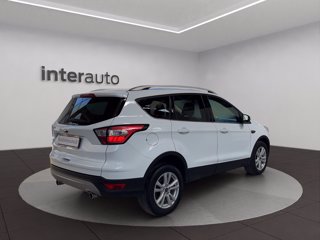 FORD Kuga 1.5 TDCI 120 CV S&S 2WD Powershift Titanium Business