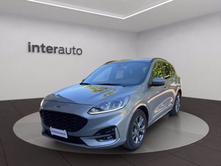 FORD Kuga 2.0 EcoBlue Hybrid 150 CV 2WD ST-Line