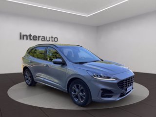 FORD Kuga 2.0 EcoBlue Hybrid 150 CV 2WD ST-Line