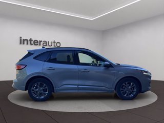 FORD Kuga 2.0 EcoBlue Hybrid 150 CV 2WD ST-Line