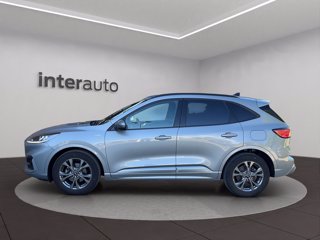 FORD Kuga 2.0 EcoBlue Hybrid 150 CV 2WD ST-Line