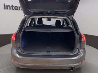 FORD Focus 1.5 EcoBlue 120 CV SW Business