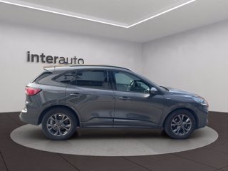 FORD Kuga 1.5 ecoblue ST-Line 2wd 120cv
