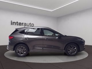 FORD Kuga 2.5 full hybrid ST-Line 2wd 190cv cvt