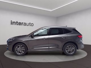 FORD Kuga 2.5 full hybrid ST-Line 2wd 190cv cvt