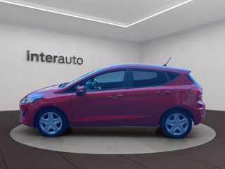 FORD Fiesta 5p 1.1 Plus 85cv