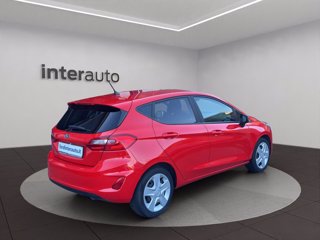 FORD Fiesta 5p 1.1 Plus 85cv