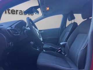 FORD Fiesta 5p 1.1 Plus 85cv