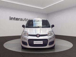 FIAT Panda 1.2 Easy s&s 69cv my19