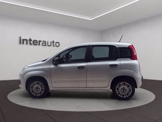 FIAT Panda 1.2 Easy s&s 69cv my19