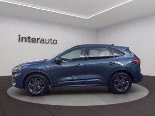 FORD Kuga 2.5 full hybrid ST-Line awd 190cv cvt