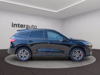 FORD Kuga 2.5 full hybrid ST-Line X awd 190cv cvt
