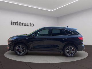 FORD Kuga 2.5 full hybrid ST-Line X awd 190cv cvt