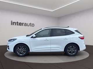 FORD Kuga 2.5 full hybrid ST-Line X 2wd 190cv cvt