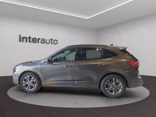 FORD Kuga 1.5 ecoblue ST-Line X 2wd 120cv auto