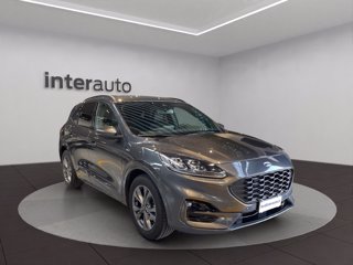 FORD Kuga 1.5 ecoblue ST-Line X 2wd 120cv auto