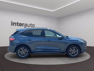 FORD Kuga 1.5 ecoblue ST-Line X 2wd 120cv auto