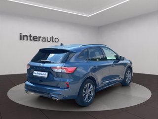 FORD Kuga 1.5 ecoblue ST-Line X 2wd 120cv auto
