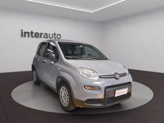 FIAT Panda 1.2 easypower Gpl s&s 69cv