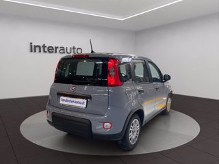 FIAT Panda 1.2 easypower Gpl s&s 69cv