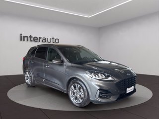 FORD Kuga 1.5 ecoblue ST-Line 2wd 120cv