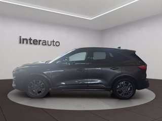 FORD Kuga 1.5 ecoblue ST-Line 2wd 120cv