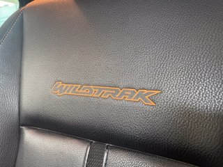 FORD Ranger 2.0 ecoblue double cab Wildtrak 213cv auto