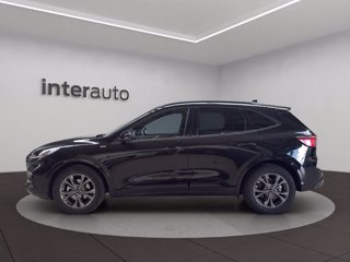 FORD Kuga 2.5 full hybrid ST-Line 2wd 190cv cvt