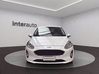 FORD Fiesta 5p 1.1 Plus 85cv my19