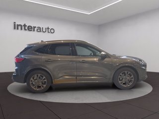 FORD Kuga 1.5 ecoblue ST-Line X 2wd 120cv auto