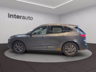 FORD Kuga 1.5 ecoblue ST-Line X 2wd 120cv auto