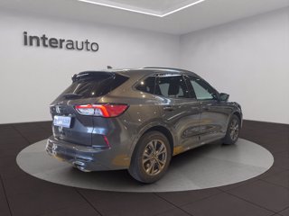 FORD Kuga 1.5 ecoblue ST-Line X 2wd 120cv auto
