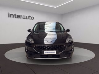 FORD Kuga 1.5 ecoblue Connect 2wd 120cv