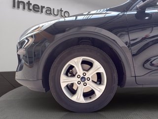 FORD Kuga 1.5 ecoblue Connect 2wd 120cv