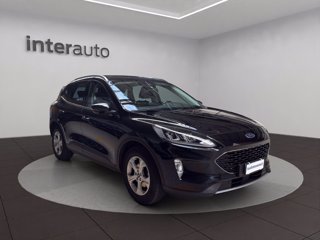 FORD Kuga 1.5 ecoblue Connect 2wd 120cv