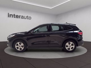 FORD Kuga 1.5 ecoblue Connect 2wd 120cv