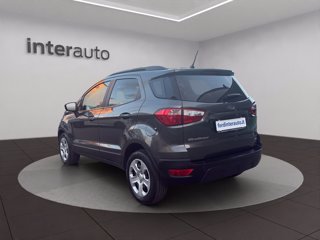 FORD EcoSport 1.5 ecoblue Plus s&s 100cv my19