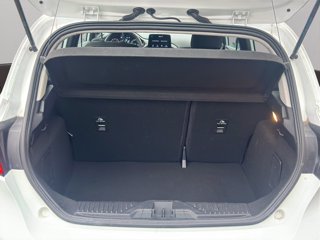 FORD Fiesta 5p 1.1 Titanium 75cv