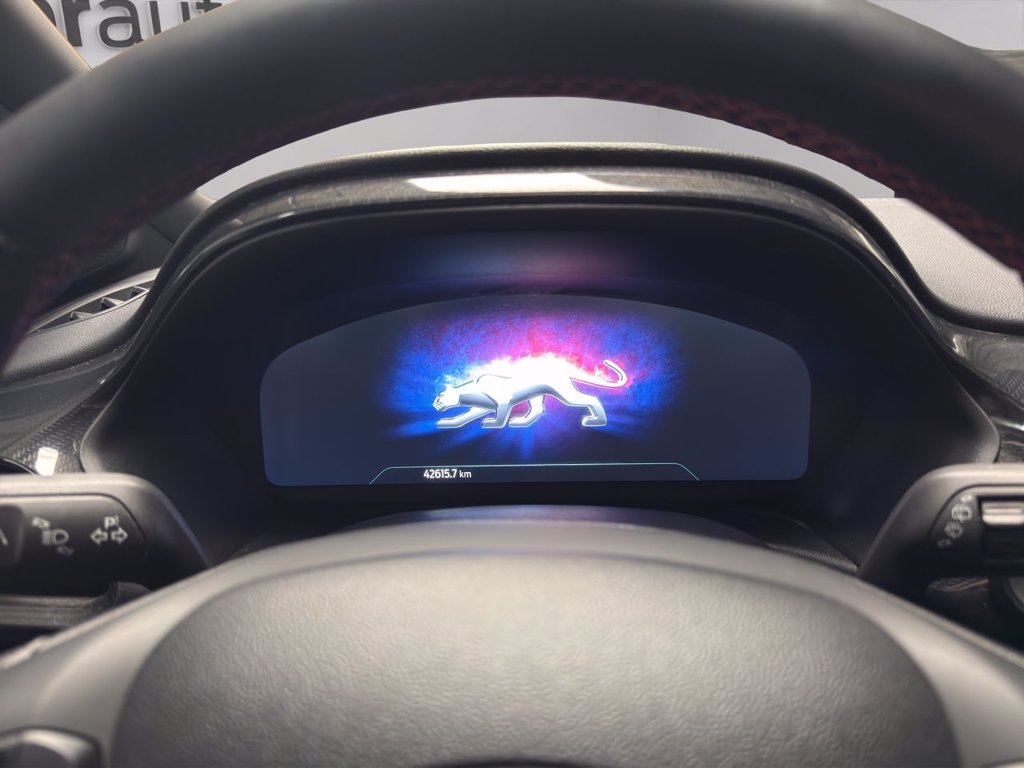 FORD Puma 1.0 EcoBoost Hybrid 125 CV S&S ST-Line