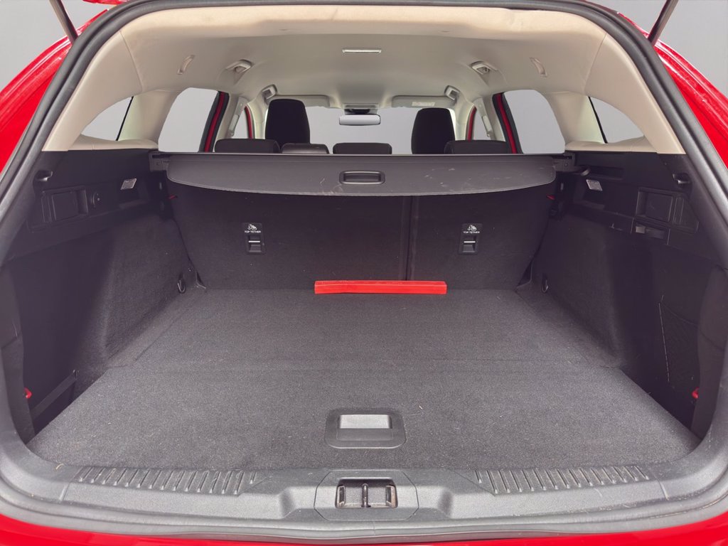 FORD Focus 1.0 EcoBoost Hybrid 125 CV Powershift SW Active