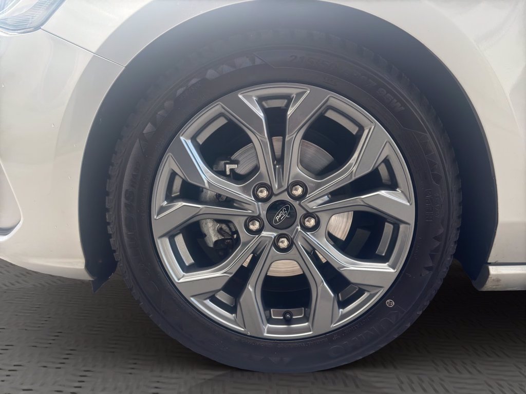 FORD Focus 1.0 EcoBoost Hybrid 125 CV 5p. ST-Line