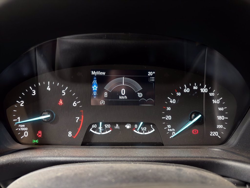FORD Fiesta 1.0 Ecoboost Hybrid 125 CV 5 porte ST-Line