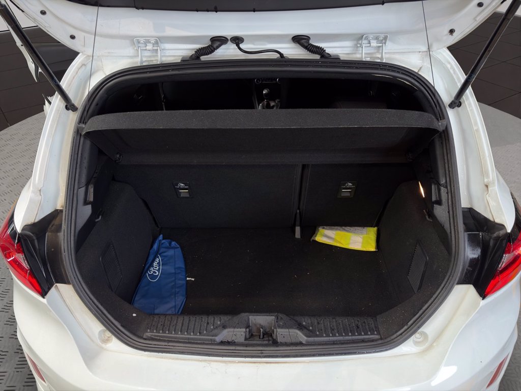 FORD Fiesta 1.0 Ecoboost Hybrid 125 CV 5 porte ST-Line
