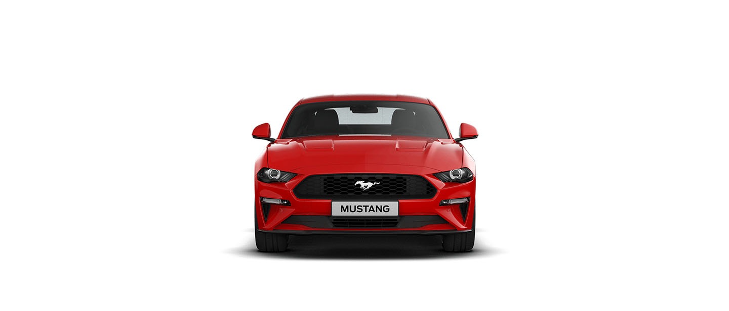 Ford Mustang Ecoboost gallery 2